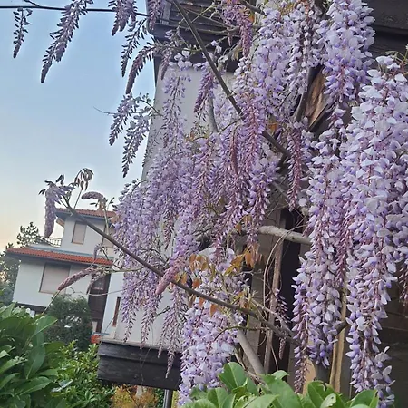 Santa Marina Village - Purple Harmony Sea View Apartman Szozopol